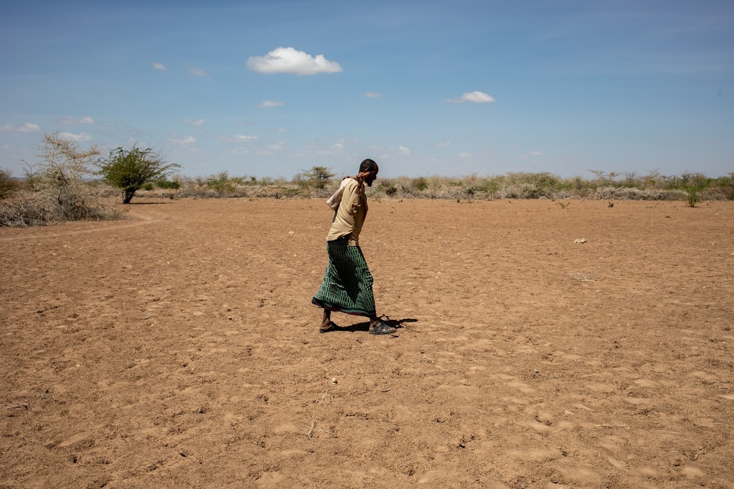 Somali drought drives mass displacement as aid and support remain limited